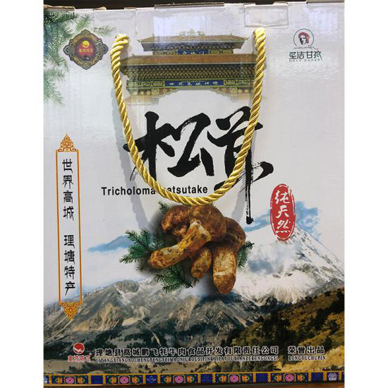 图片8.jpg 图片8.jpg